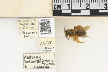 Media type: image;   Entomology 769907 Aspect: Labels